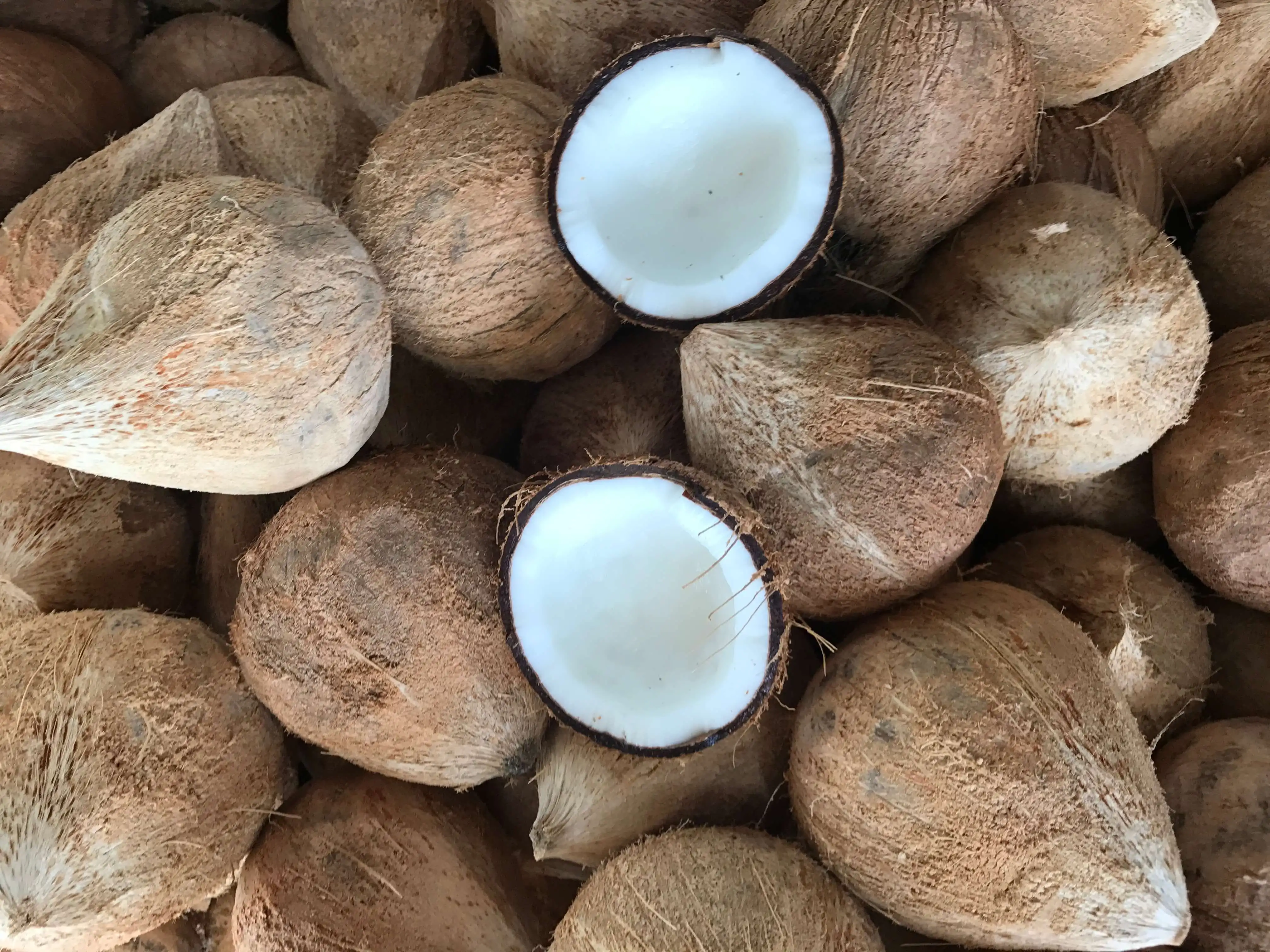 кокосы во вьетнаме
