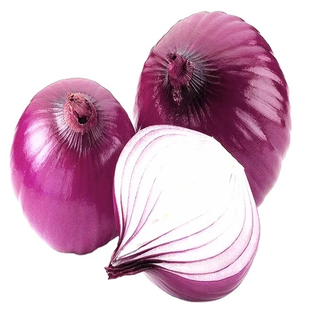 Buy Wholesale Germany Best Fresh Onion With Good Price Yellow Onions And Red  Onion For Export & Onion at USD 150