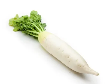 original fresh white radish