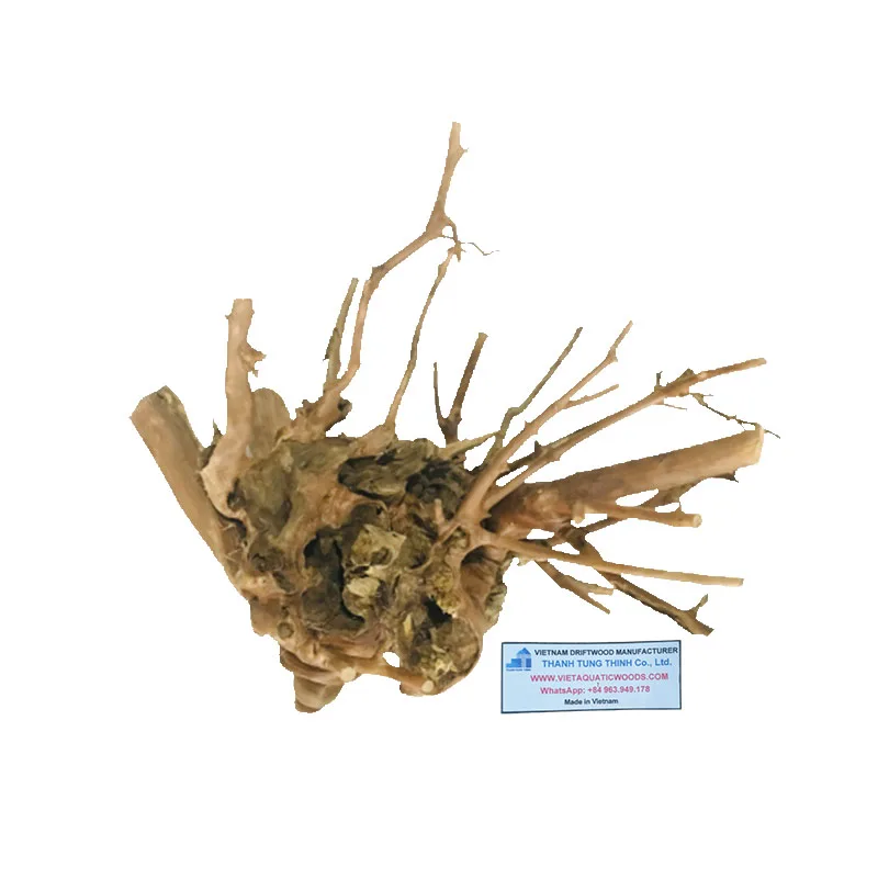 Оптовая продажа 2025 натуральных аквариумных коряг для аквариумных аксессуаров WhatsApp: + 84 963 949 178