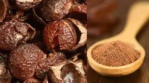SOAP NUT POWDER BEST PRICE in BULK ORGANIC SOAP NUT EXTRACT POWDER for NATURAL DETERGENT BEST PRICE//MS.RACHEL +84896436456