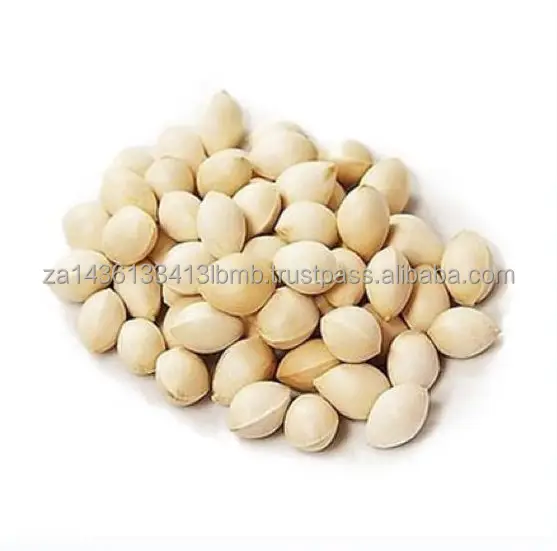 ginkgo nuts.jpg