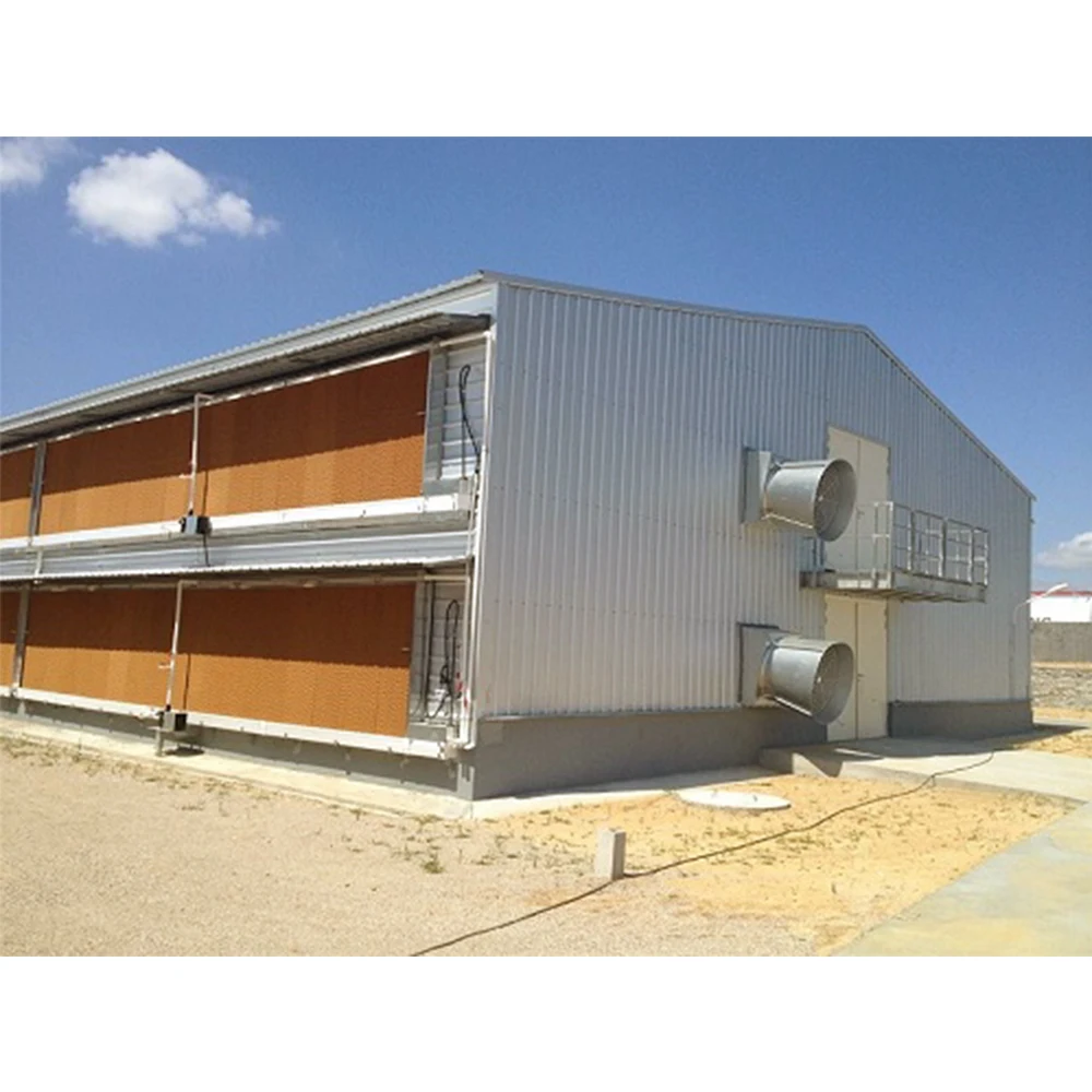 Chicken Farm Building Semi Control Shed Chicken House Quail Butchery Open Sided Poultry House