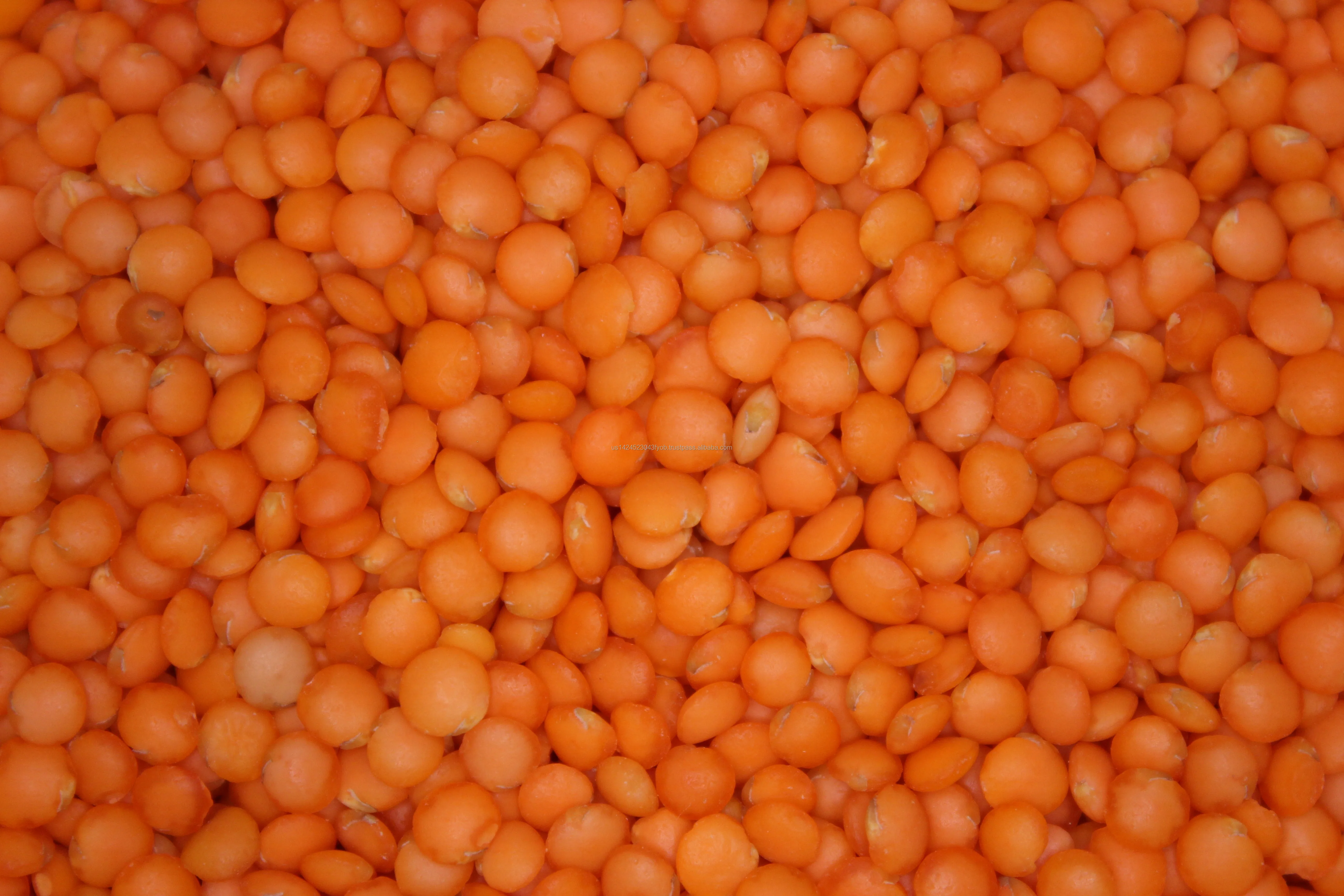 Green & Red Lentils3.jpg