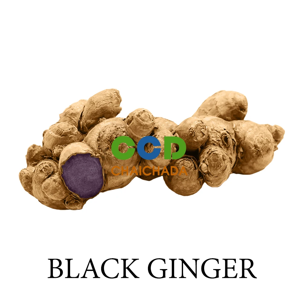 Black Ginger Black Galingale Krachaidam Buy Black Ginger Black Galingale Krachaidam Product On Alibaba Com