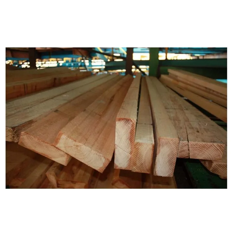 Hot Selling Acacia Wood Timber With Special Price Buy Acacia Wood