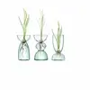 clear glass