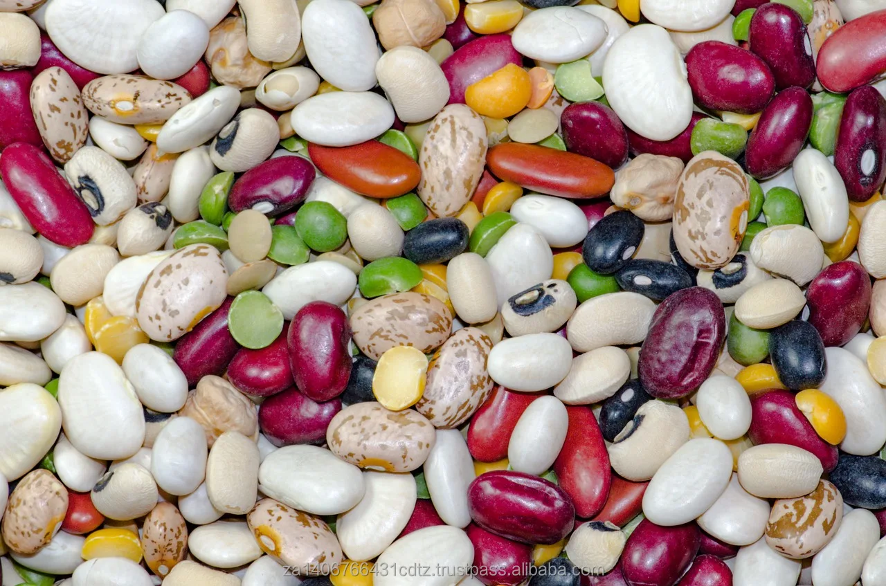 bean-1684304_1280.jpeg