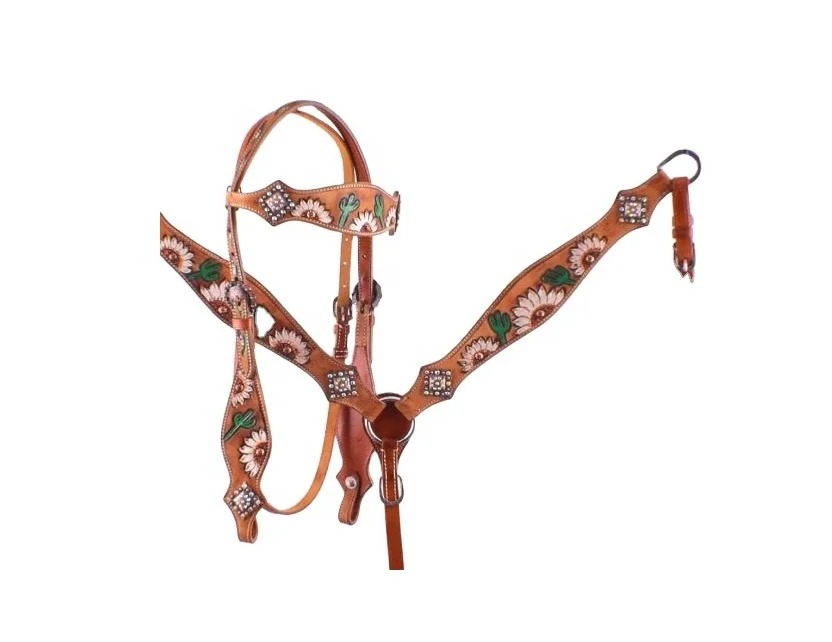 Western Headstall Breast Collar Headstall Beaded Inlay Bling Show