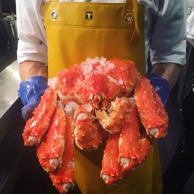 Live King Crab,Norwegian Red King Crab,King Crab - Buy Buy Live Red