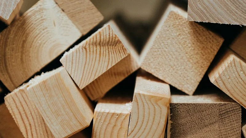 timber2.jpg