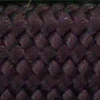 PN021