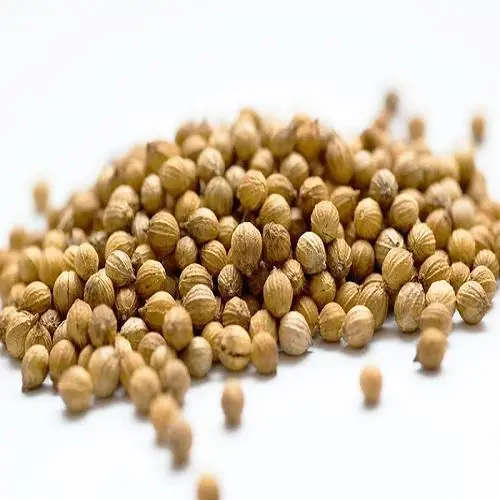 coriander seeds图片