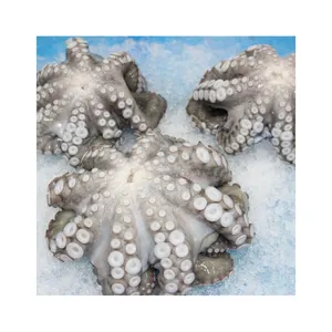 Frozen Octopus / Frozen Seafood Octopus