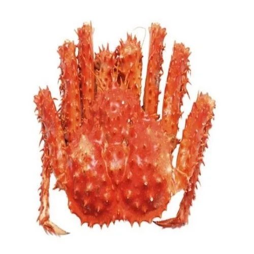King Crab 5.jpg