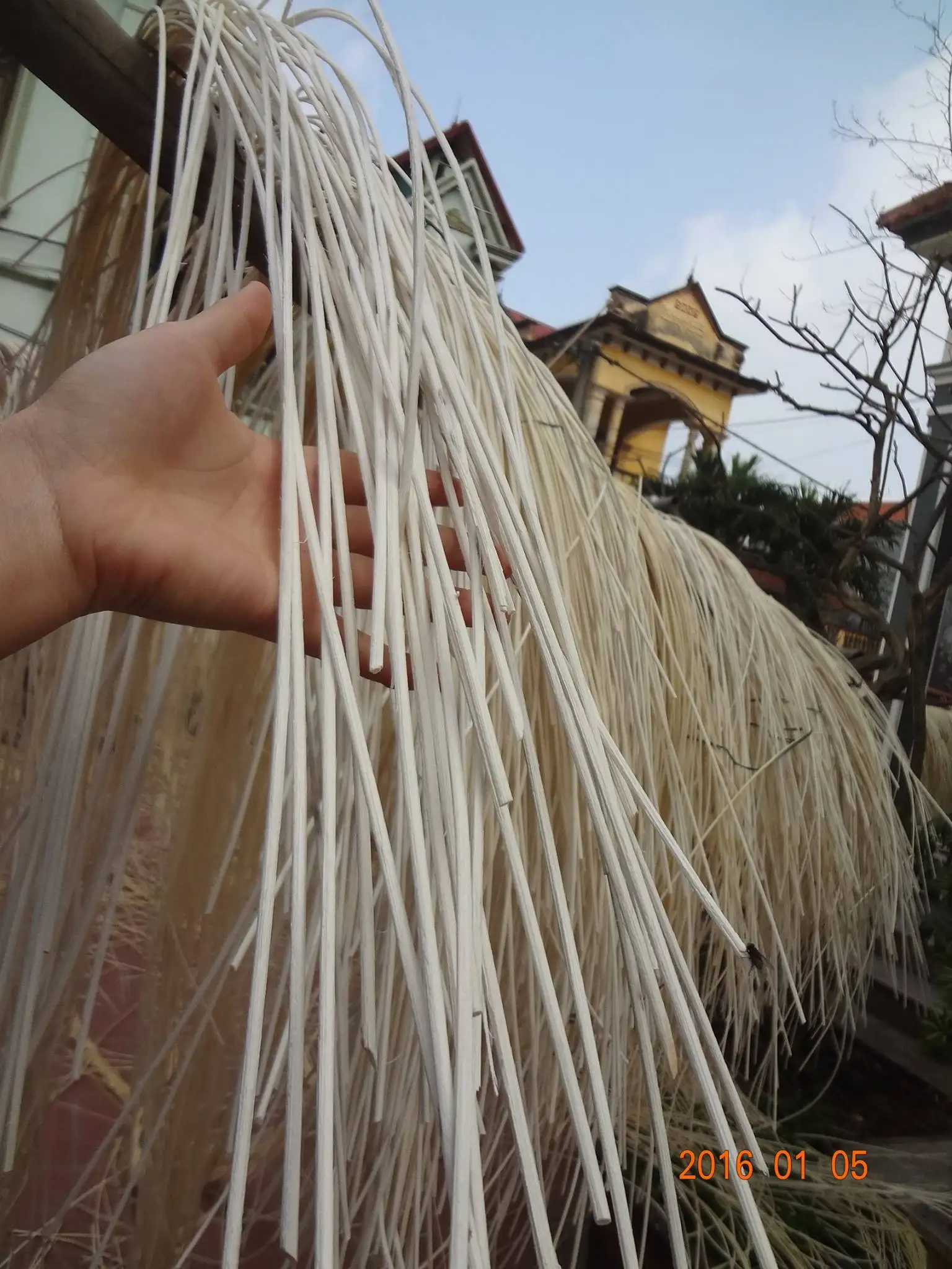 Vietnam Raw Rattan Core Materials Ms. Lily +84 906927736 For Rattan ...