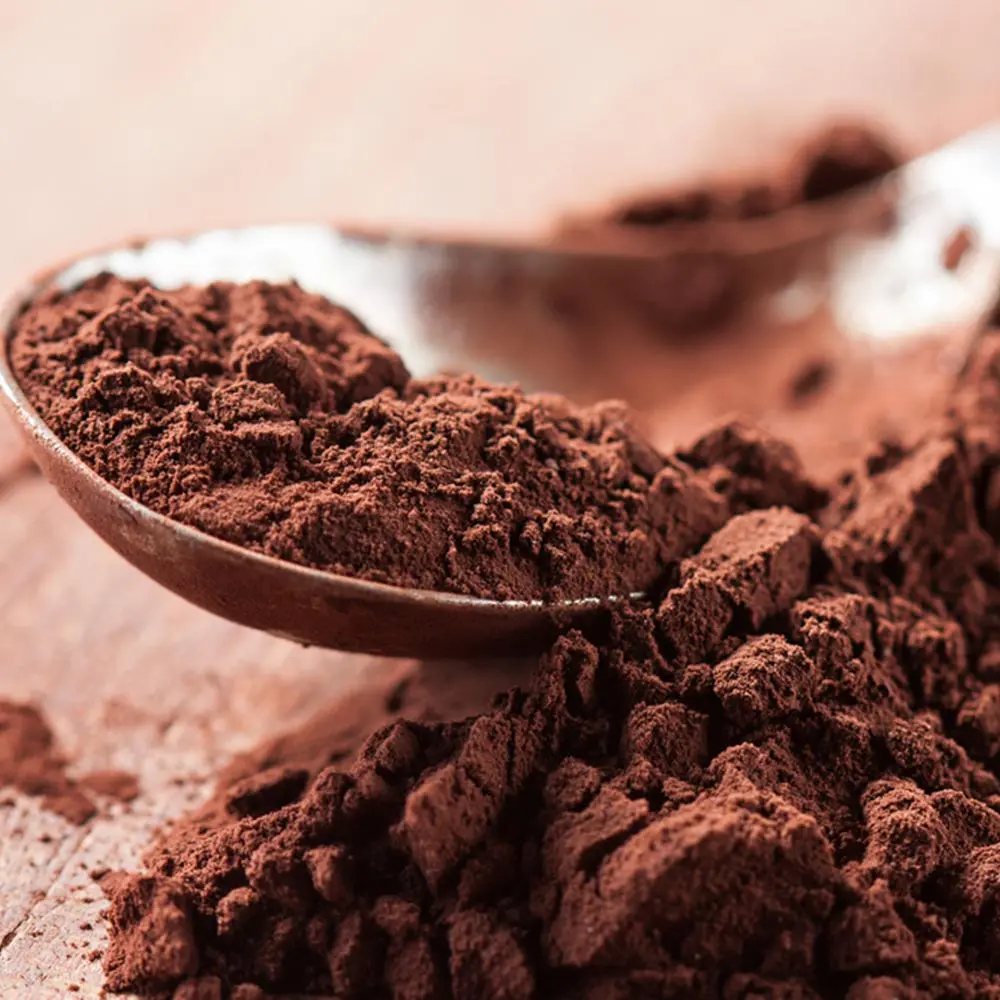Шоколад в порошке. Какао Испания алкализированное. Ашанти какао порошок. Какао порошок Cacao Powder. Какао сухое.