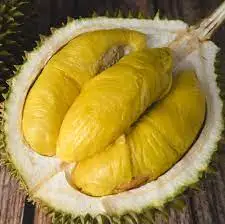 ベトナム新鮮ドリアン 新鮮生ドリアン2.2~2.8キロ一玉・Vietnam Fresh Durian・Sầu riêng