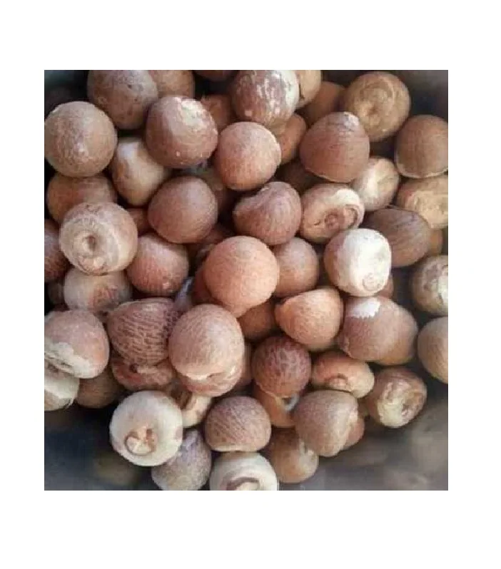 Высококачественный орех BETEL из Вьетнама/сушеный орех ARECA/супарари (Жасмин: + 84 37 461 9429)