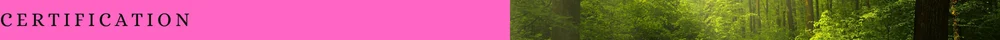 COMPANY INFORMATION (1).png