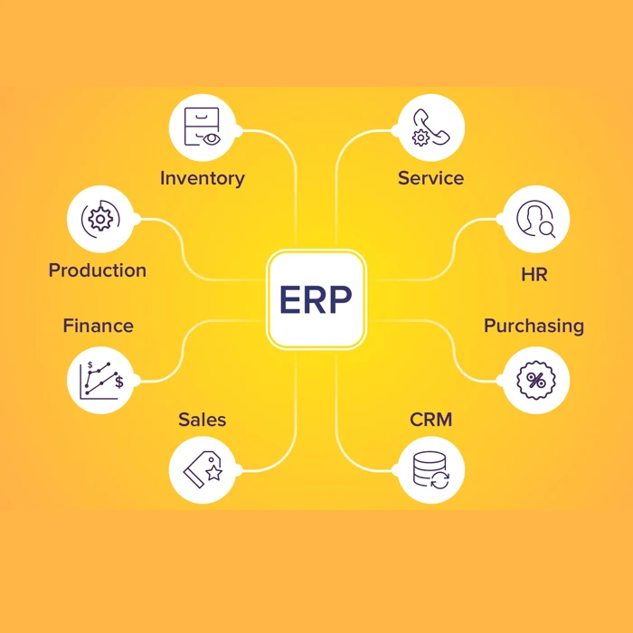 Best Erp Solutions Company In India Erp Software Erp Developers