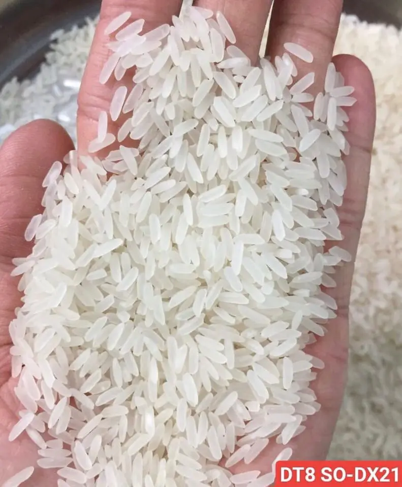 DT8 вьетнамский ароматный рис 5% сломанный // Vietnam Duftreis gebrochen gunstiger Preis // Whatsapp 84 982 069121