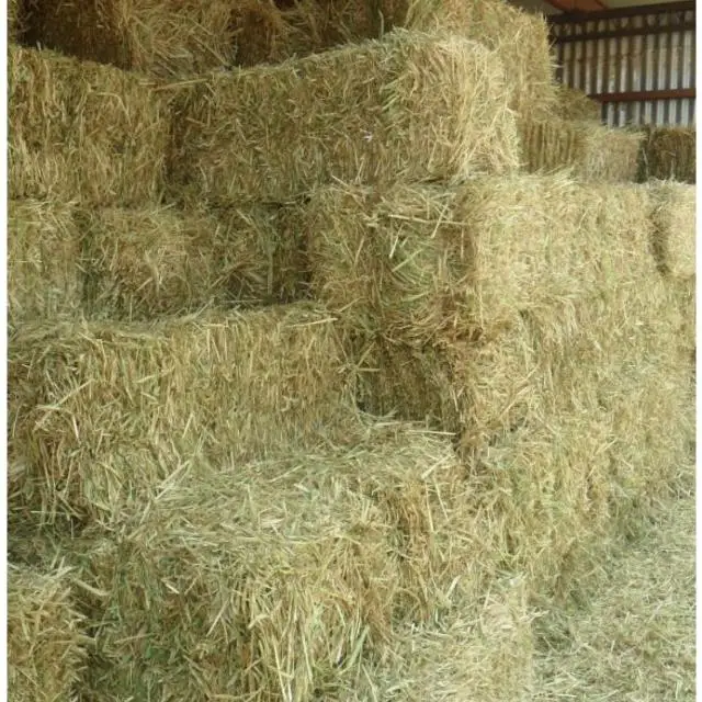 Alfalfa Hay Buy Hay Cube High Quality Alfalfa Hay For Sale Alfalfa Hay Pellet Product On Alibaba Com