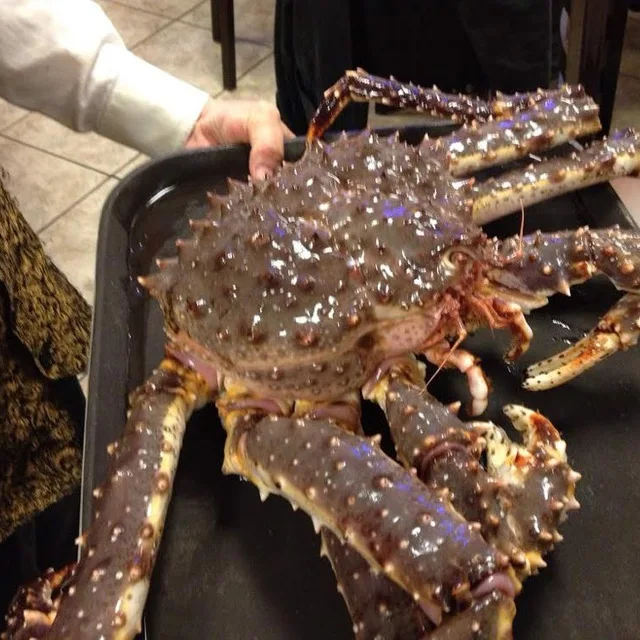 whole king crab live