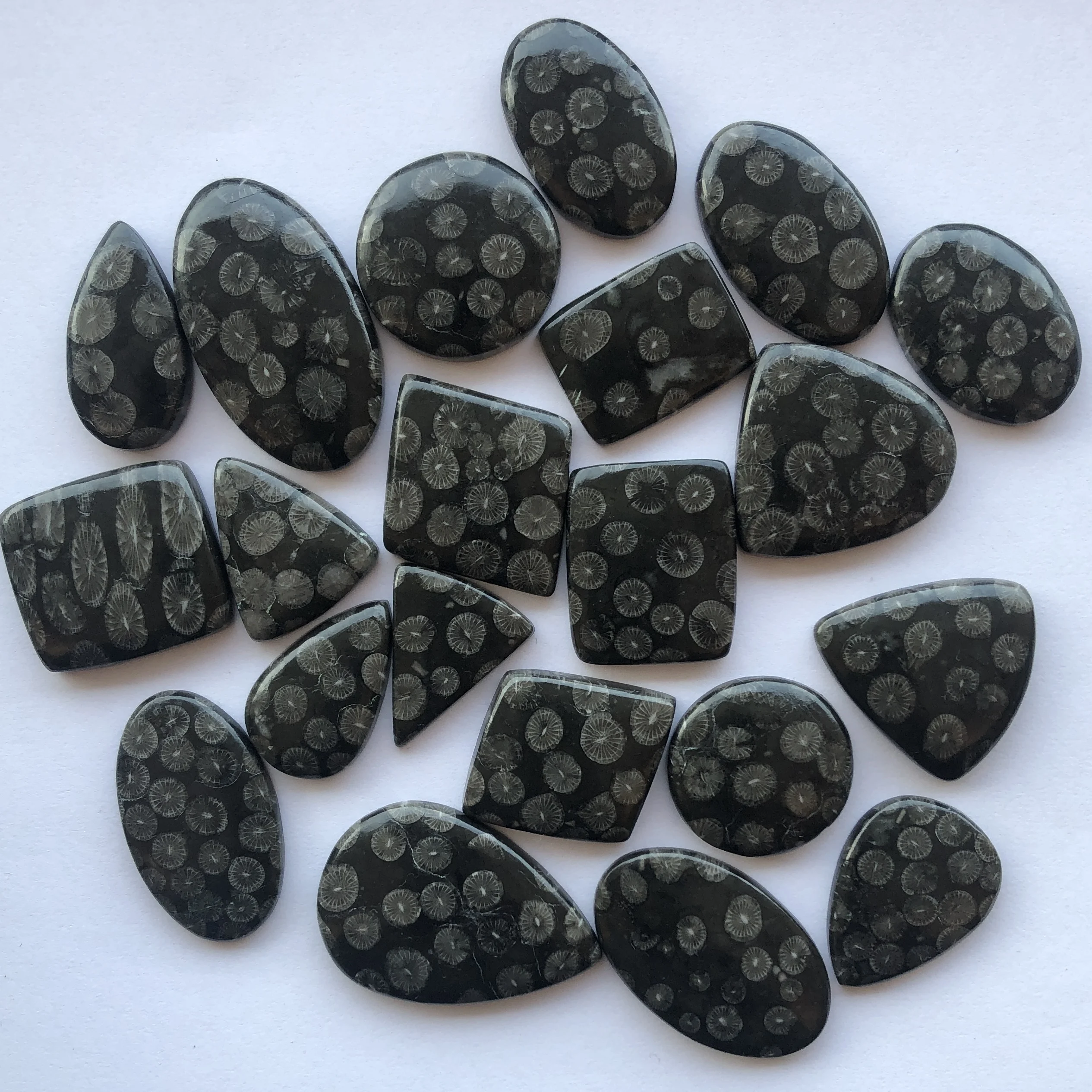 Natural Black Fossil Coral Stone Smooth Oval Pear Loose Cabochon From  Gemstone Supplier At Wholesale For Jewelry Making Pendants - Buy Natural  Black Fossil Coral Stone Smooth Oval Pear Loose Cabochon From