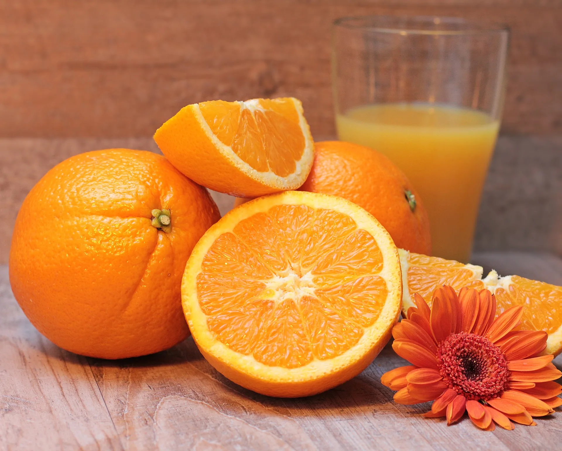 orange juice concentrate for sale - buy frozen orange juice conc