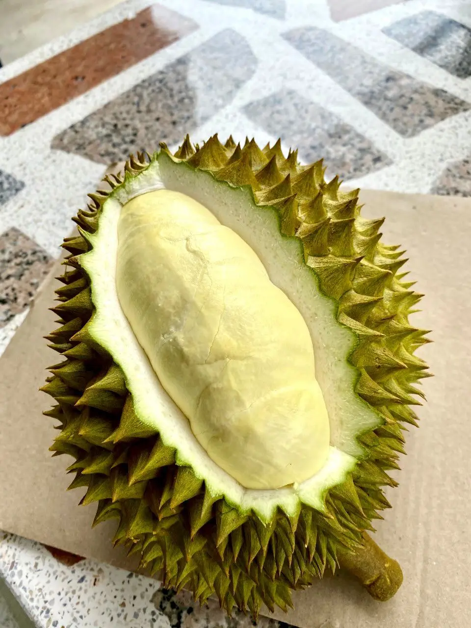 Fresh Durian Monthong Durian For Sale At affordable prices