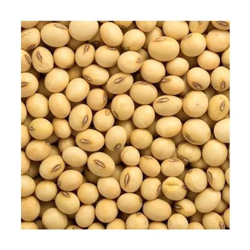 A - Soybeans 20.jpeg