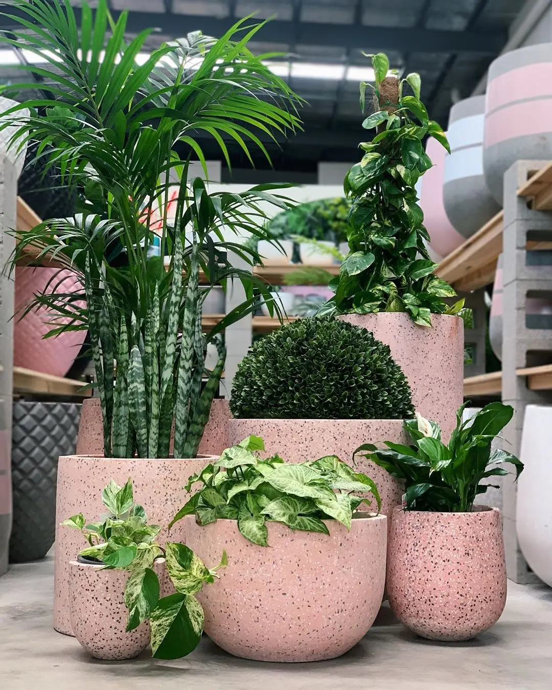 Vasi Per Fiori In Ceramica, Piante Grasse In ... - SHEIN ALIA