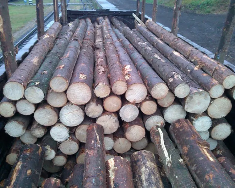 timber4.jpg