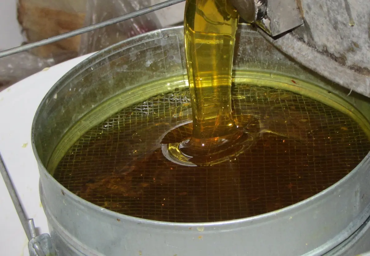 
Использованное кулинарное масло 