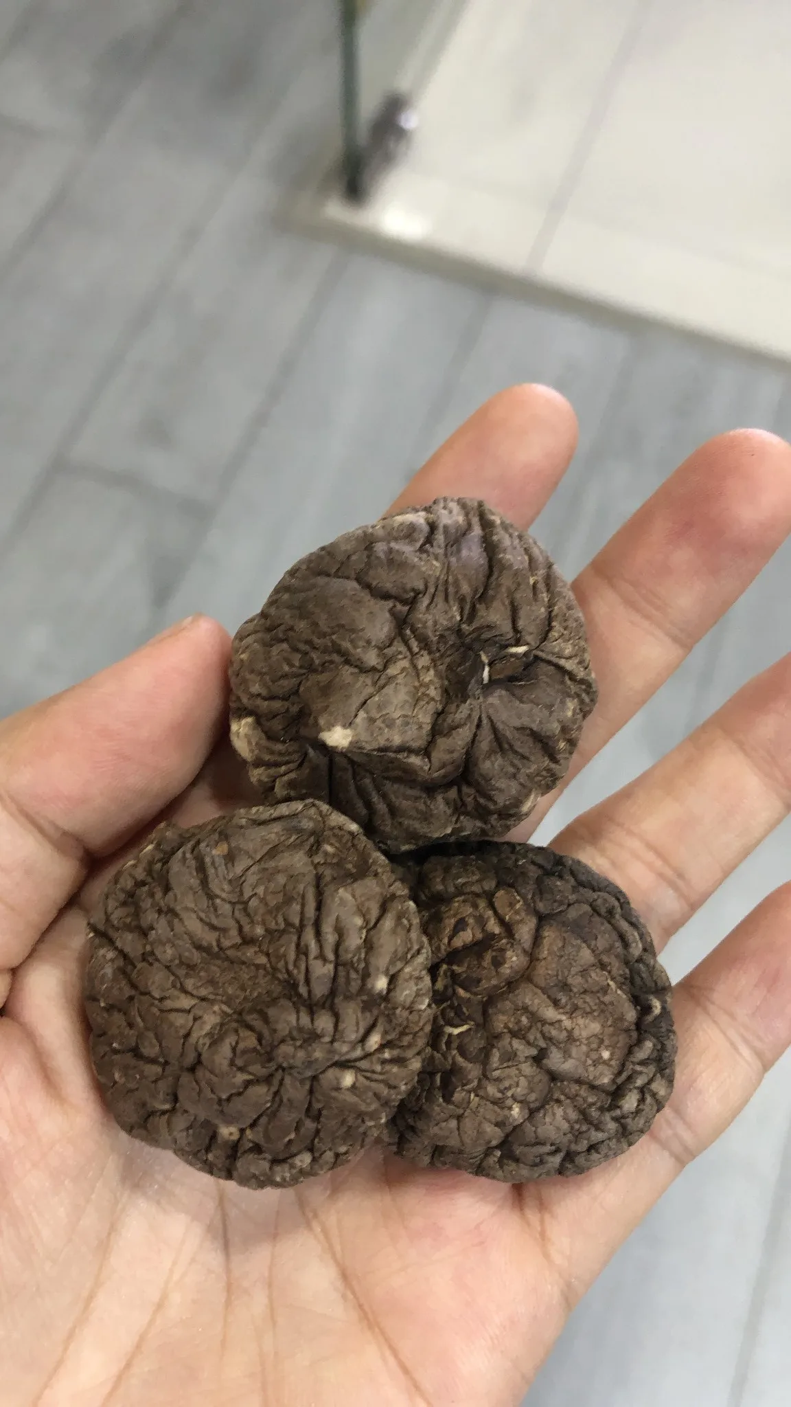 Organic Dried Shiitake Mushroom Dried Food High Quality Shiitake