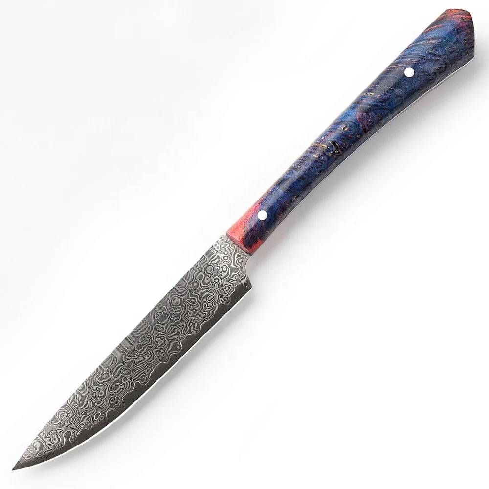 Luxury Japanese Vg10 Damascus Steel Steak Knife Professional Chef's