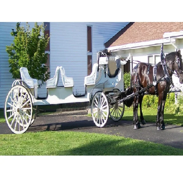 elegant white vis a vis horse carriage classic white limousine