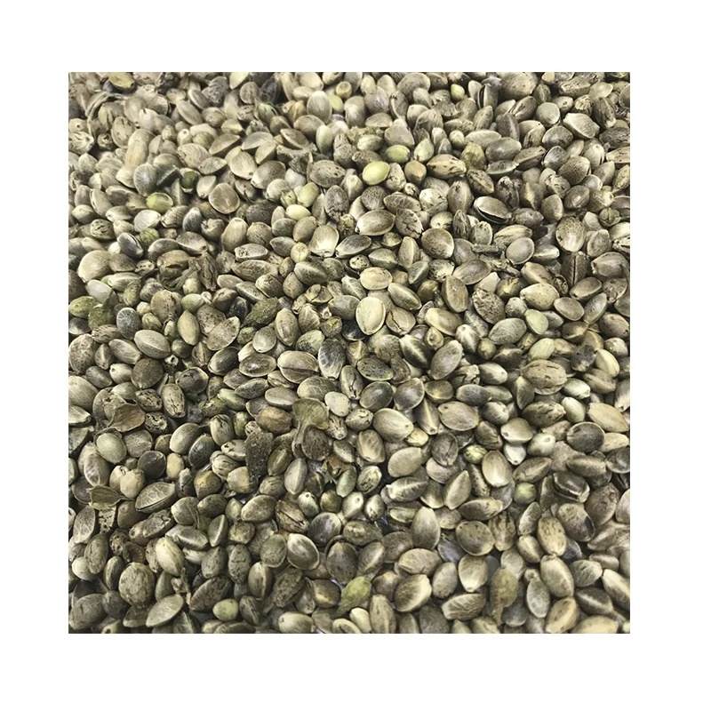 Seeds Natural 100% Hemp Grain Wholesale From Manufacturer Best Price Healthy Food