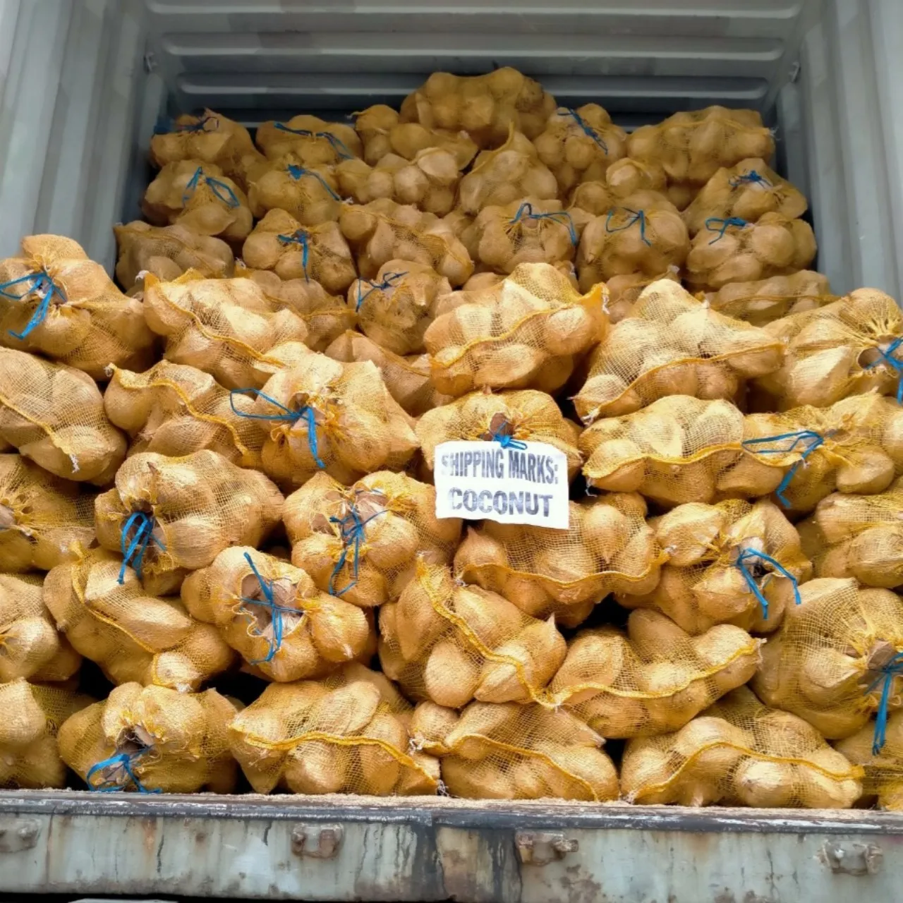 Fresh Coconuts Buy Fresh Coconuts For Sale,Dedicated Coconut,Fresh