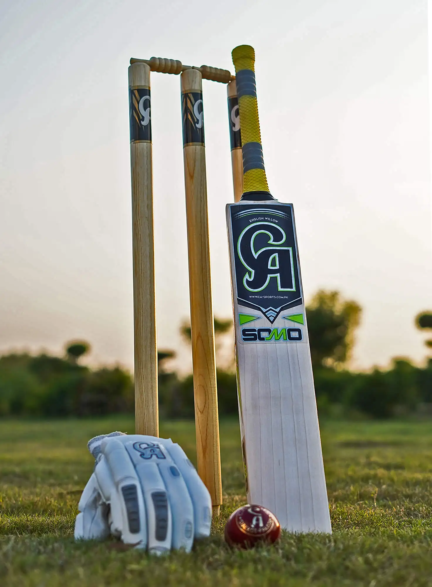 Limited Edition Ca Plus 15000 Cricket Bat Straight Grains Top Quality