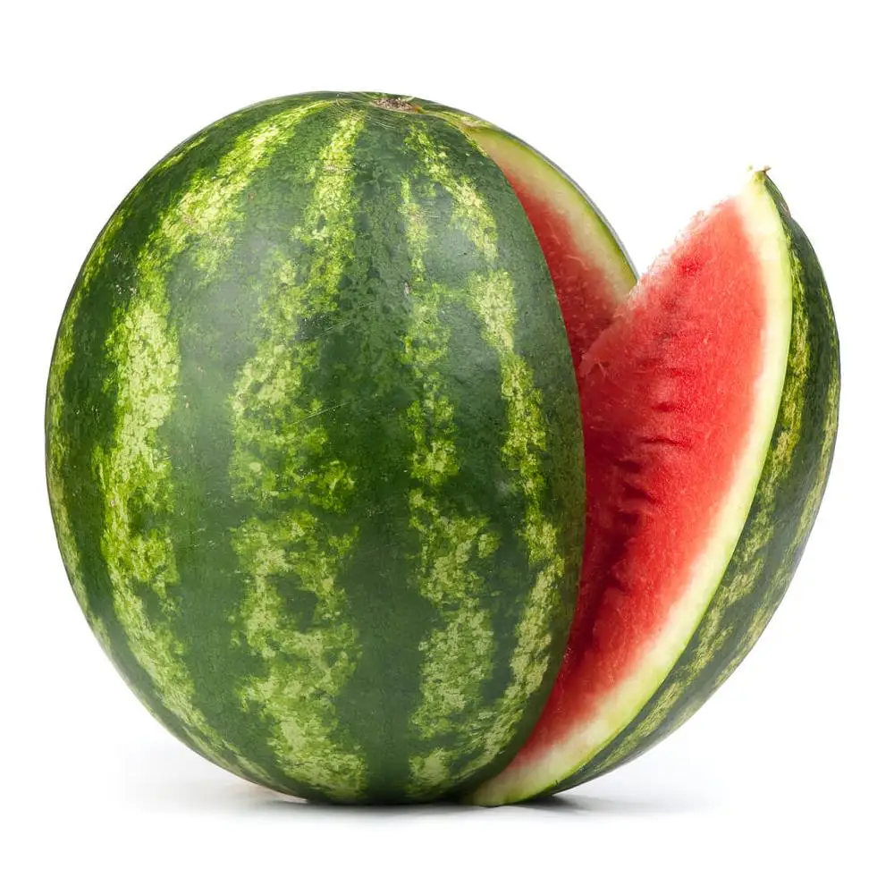 fresh watermelon available for sale