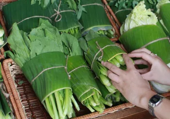 Frozen Banana Leaves From View Nam - Or Alexis 100% Natural 30