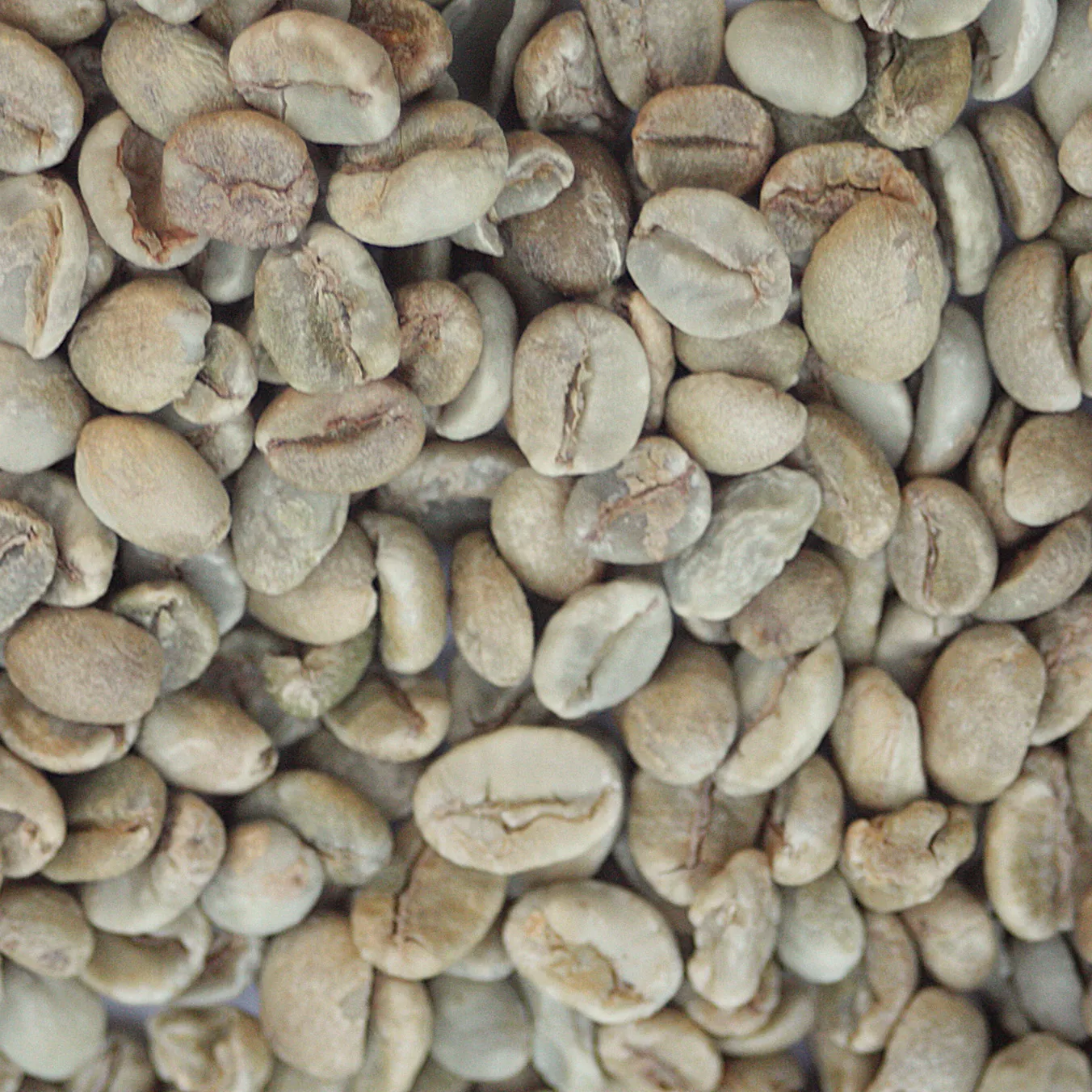 Цена необработанных зеленых и эфиопских нежареных кофейных зерен Арабики