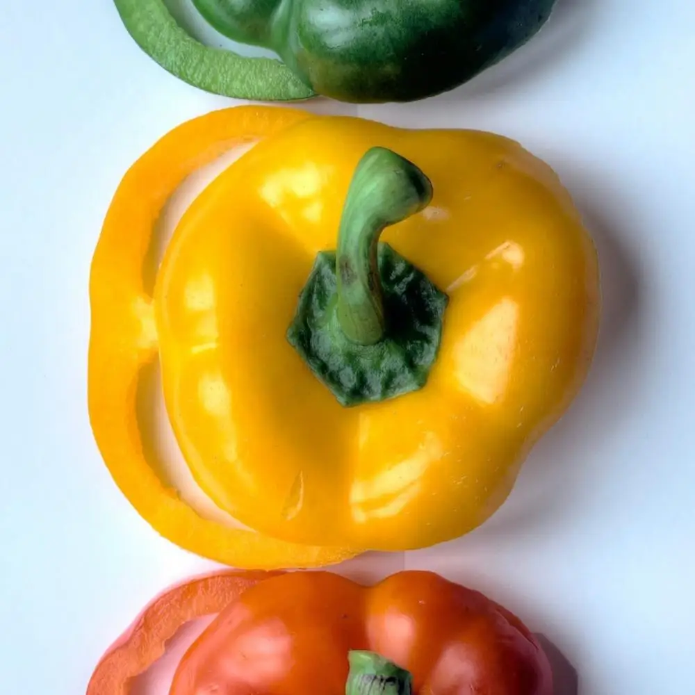 mix color sweet pepper,green,yellow,red chili,sweet bell pepper