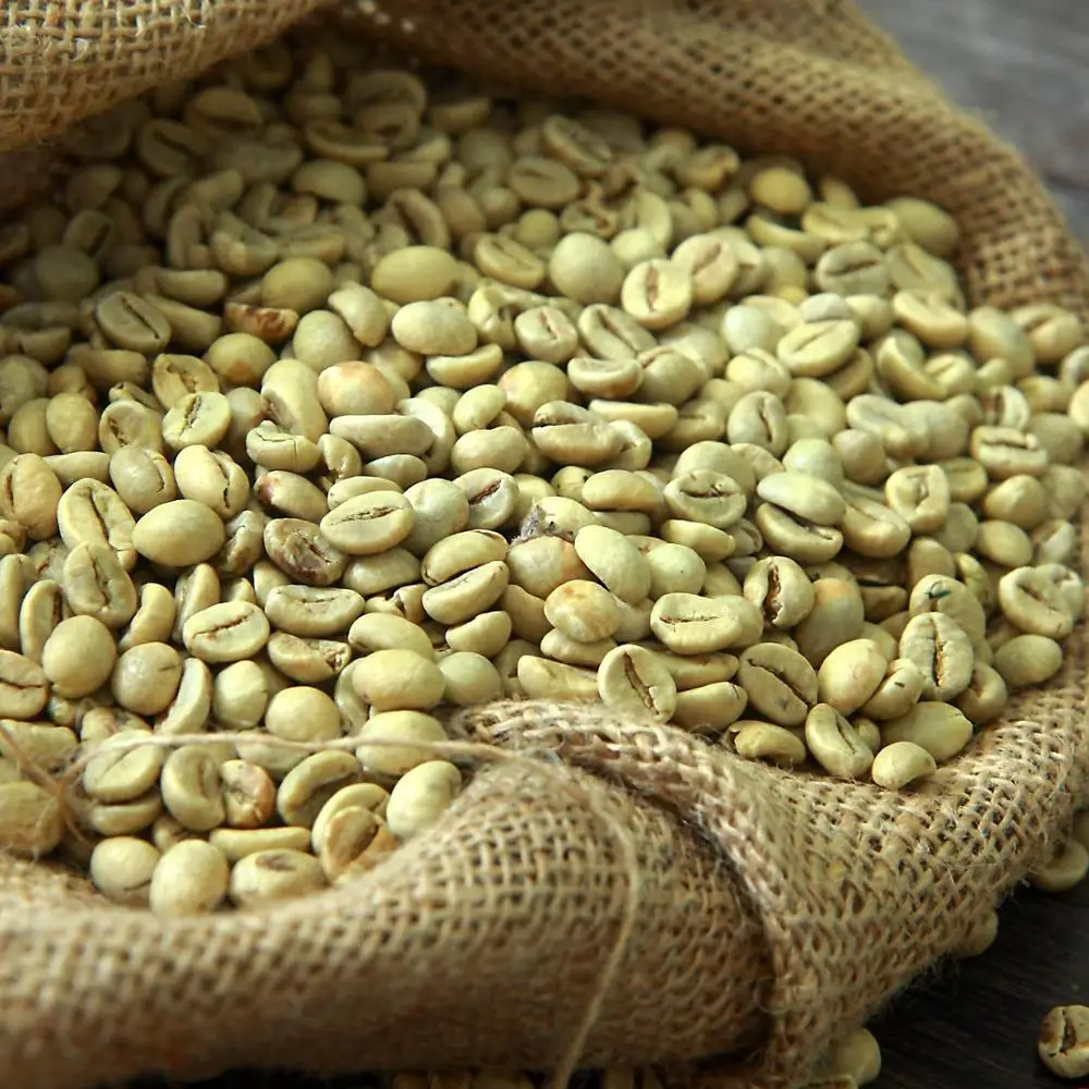 Directly From The Farm Unroasted Green Coffee Beans Arabica Raw Coffee Beans Buy Organic Ground Green Coffee Beans Roasted Coffee Beans 100 Arabica Colombian Coffee Roasted Beans Product On Alibaba Com