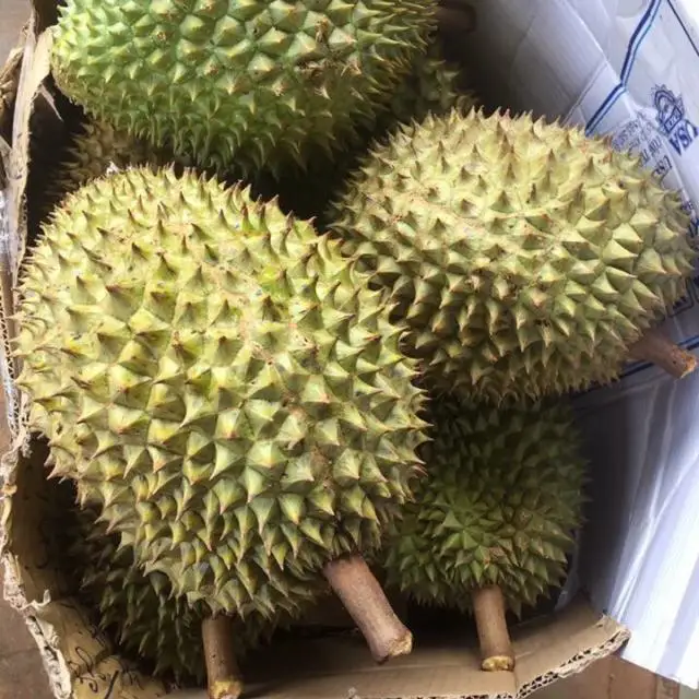 sau rieng2.jpeg