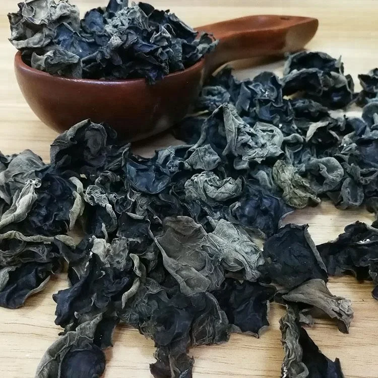 Натуральный гриб, древесина, гриб, гриб, желе, гриб для ушей