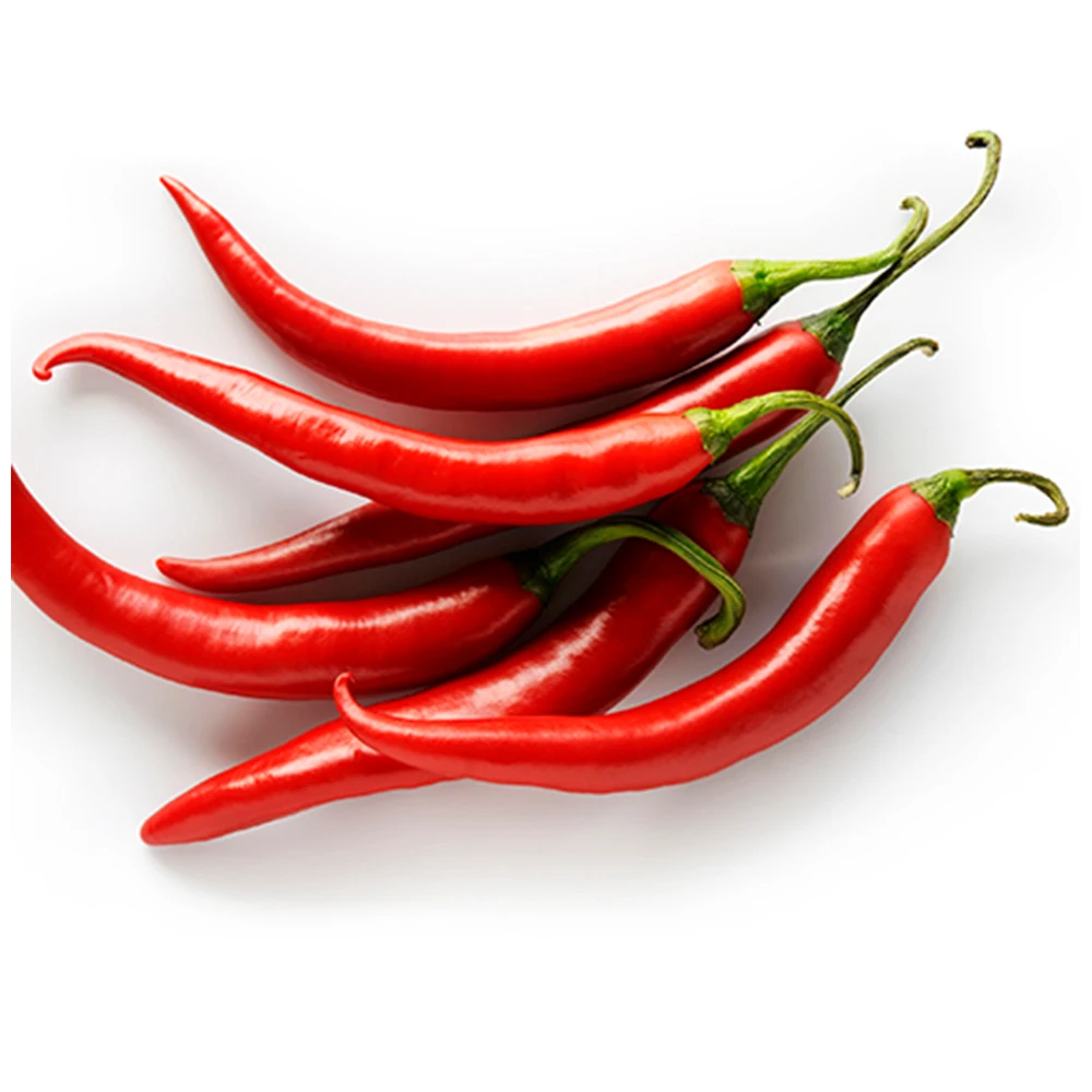 top quality new crop organic hot spices fresh red chilli for