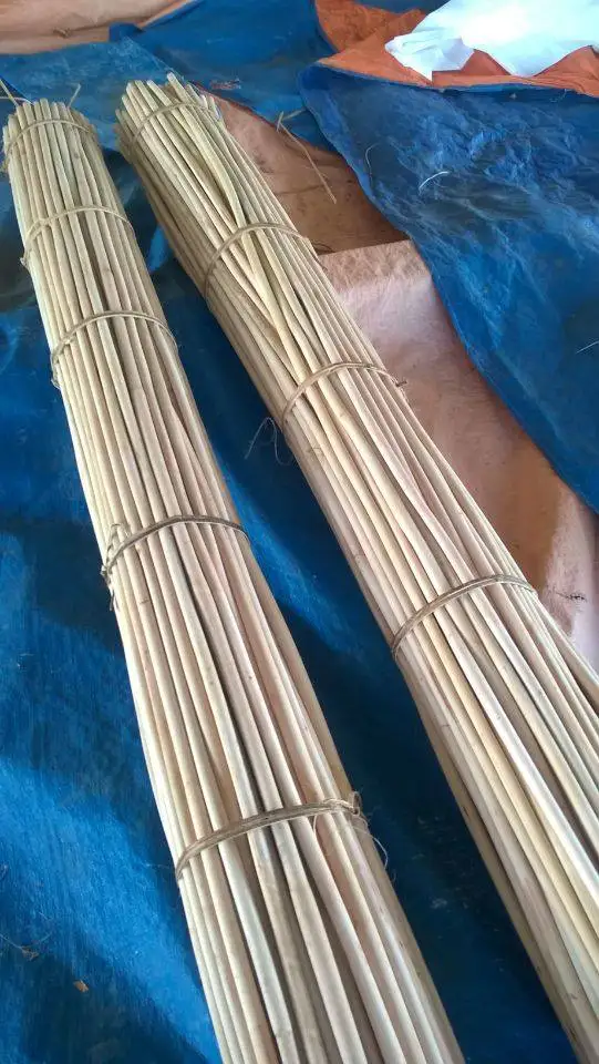 Raw Material For Rattan Cane bing/ Rattan Poles & Rattan Manau For Export Ms. Lily +84 906